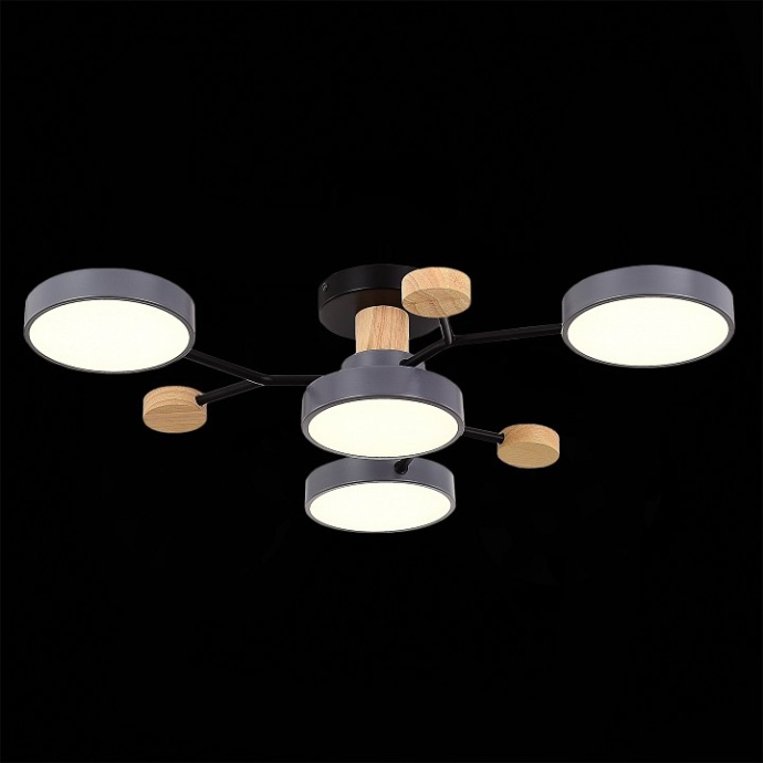 Потолочная люстра EVOLUCE Faema SLE6006-702-04 - 3