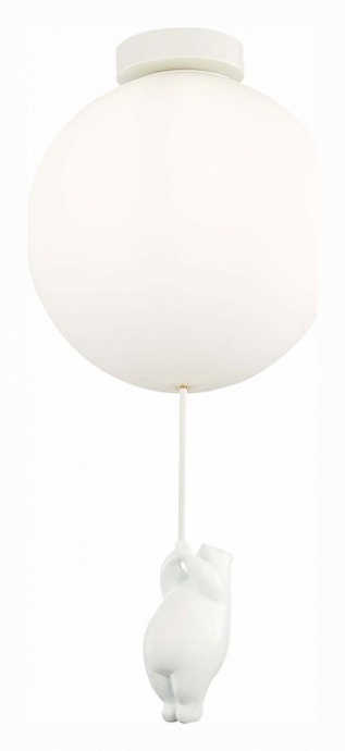 Накладной светильник EVOLUCE Modena SLE115412-01 - 0