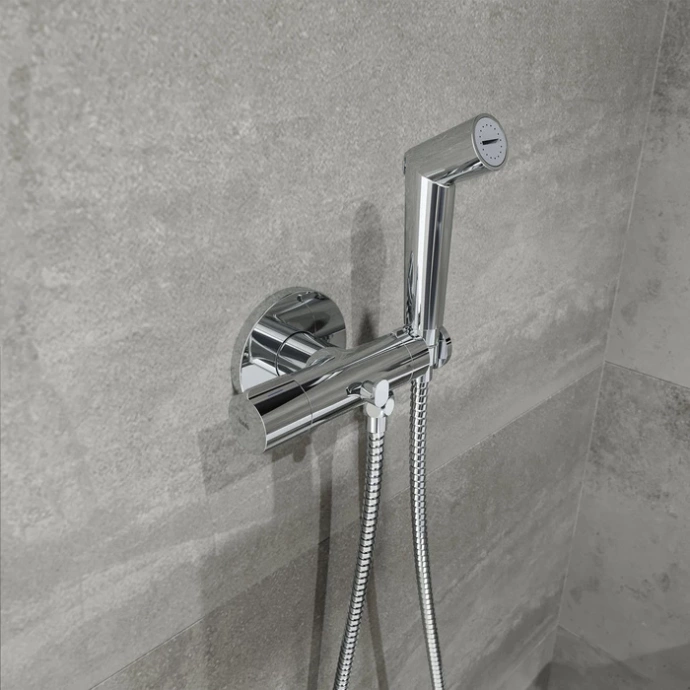 Встраиваемый смеситель с гигиеническим душем AXESBR0i08 - 1