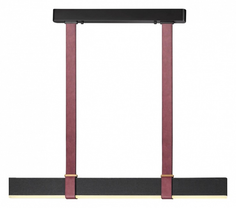 Подвесной светильник Odeon Light Vincent 6629/25L - 2