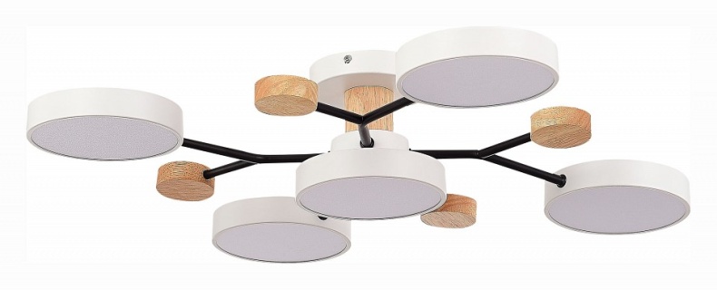 Потолочная люстра EVOLUCE Faema SLE6006-502-05 - 0