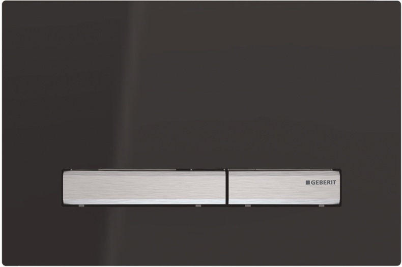 Кнопка смыва Geberit Sigma 50 115.788.DW.2 черный - 0