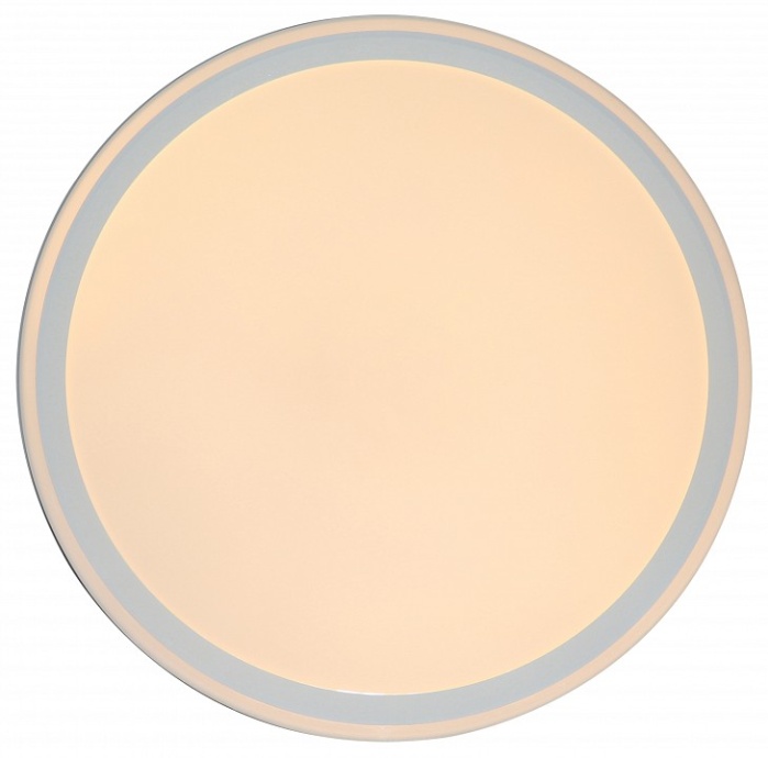 Накладной светильник Zortes BELLA ZRS.1200.09 - 2