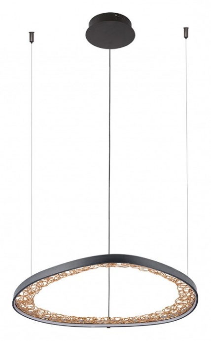 Подвесной светильник Arte Lamp Cinta A1847SP-36BK - 1