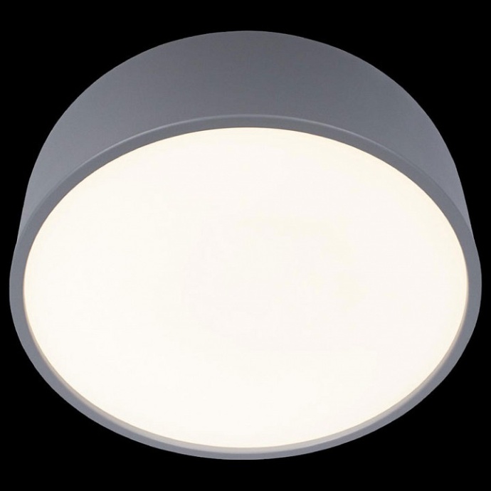 Накладной светильник Loft it Axel 10201/350 Grey - 4