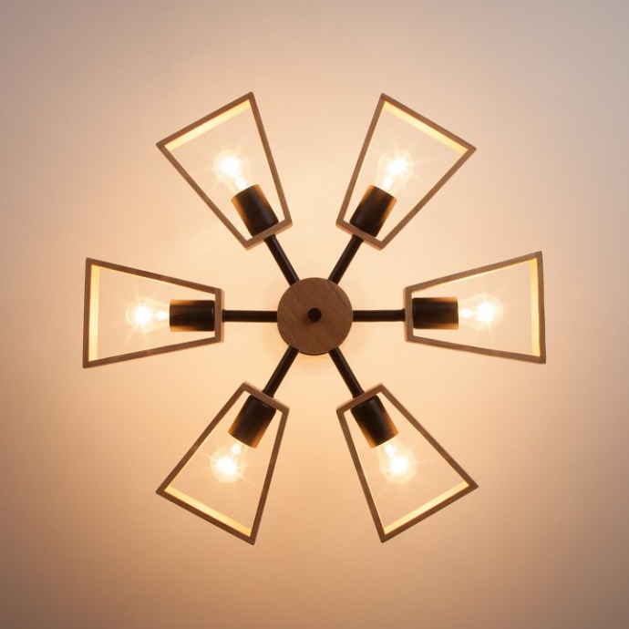 Потолочная люстра Eurosvet 70056 70056/6 черный - 2