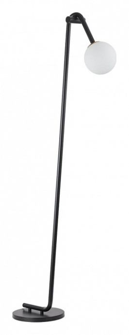 Торшер Lumion Dexter 6500/1F - 0