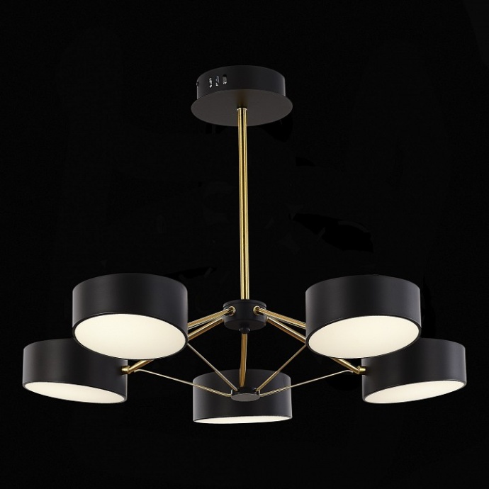 Люстра на штанге EVOLUCE Valle SLE6005-402-05 - 3