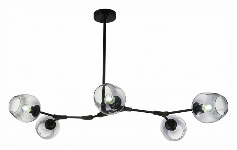 Подвесная люстра EVOLUCE Rametto SLE154843-05 - 0