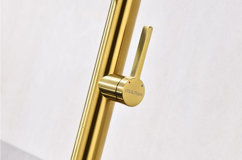 Смеситель для кухни Paulmark Leader брашированное золото Le214101-BG - 8