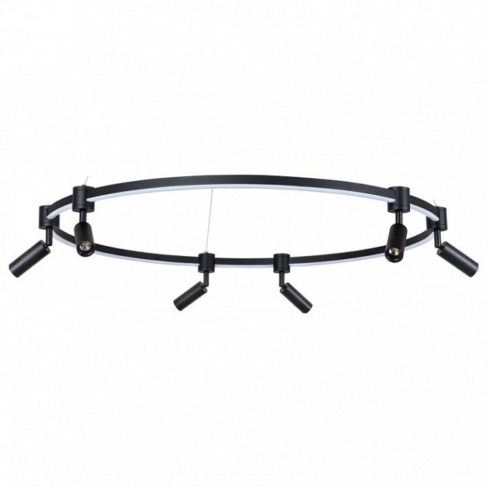 Подвесная светодиодная люстра Arte Lamp Ring A2186SP-1BK - 0