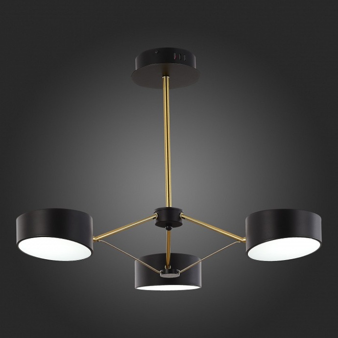 Люстра на штанге EVOLUCE Valle SLE6005-402-03 - 2