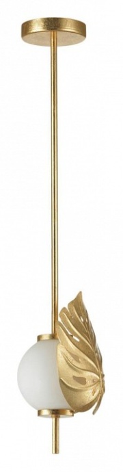 Подвесной светильник Odeon Light Modern Jungle 4864/1A - 0