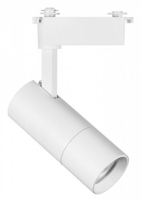 Светильник на штанге Lightstar Volta 229236 - 0