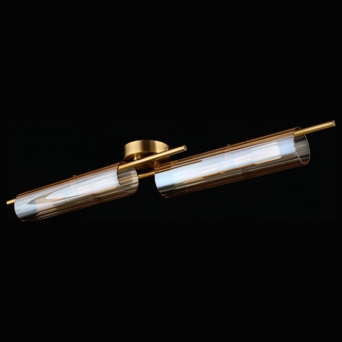 Накладной светильник Aployt Lusia APL.315.07.04 - 3