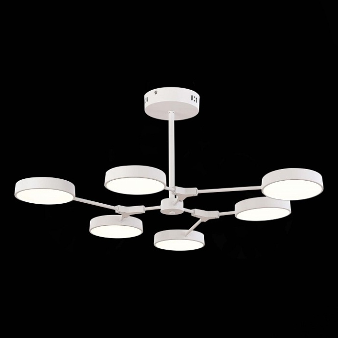 Люстра на штанге EVOLUCE Monta SLE6003-502-06 - 4