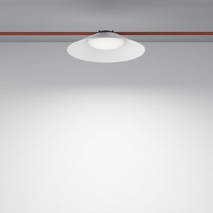 Подвесной светильник Maytoni Campana TR127B-12W4K-W - 1