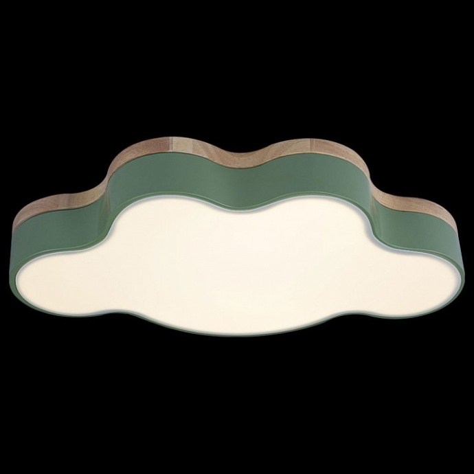 Накладной светильник Loft it Axel 4 10005/30 Green - 2