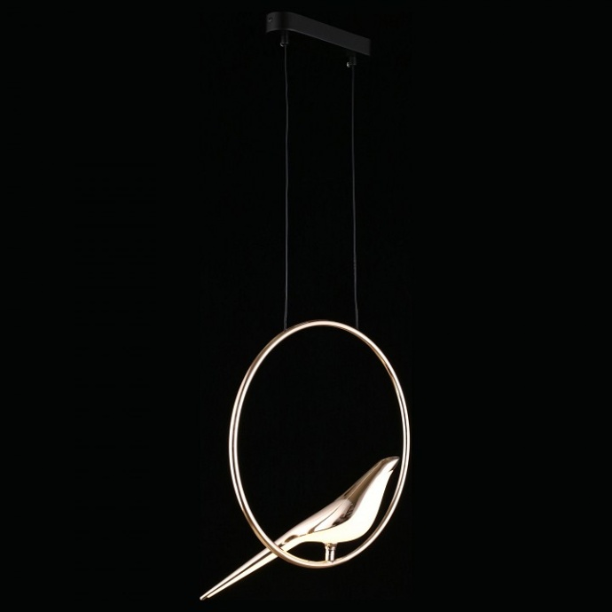 Подвесной светильник Aployt Astor APL.822.06.10 - 10