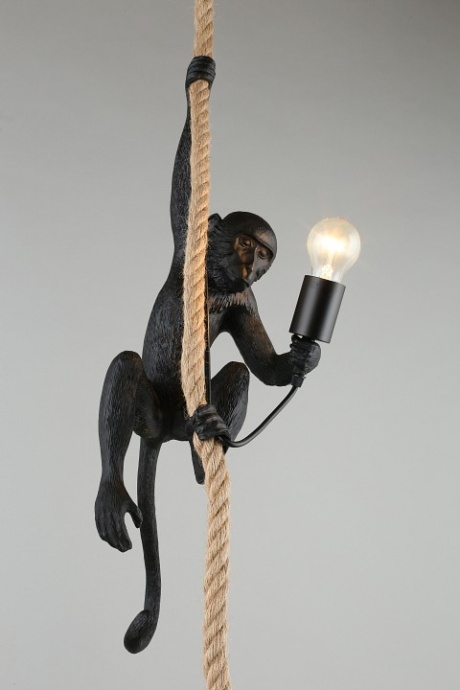 Подвесной светильник Aployt Magali APL.309.16.01 - 11