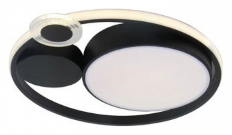 Накладной светильник Arte Lamp Stockholm A2690PL-1BK - 0