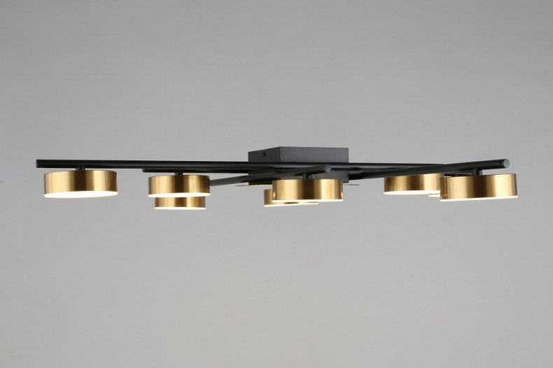 Потолочная люстра Aployt Delayn APL.042.07.56 - 5