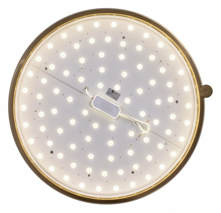 Накладной светильник Zortes Gimpel ZRS.1209.18 - 2