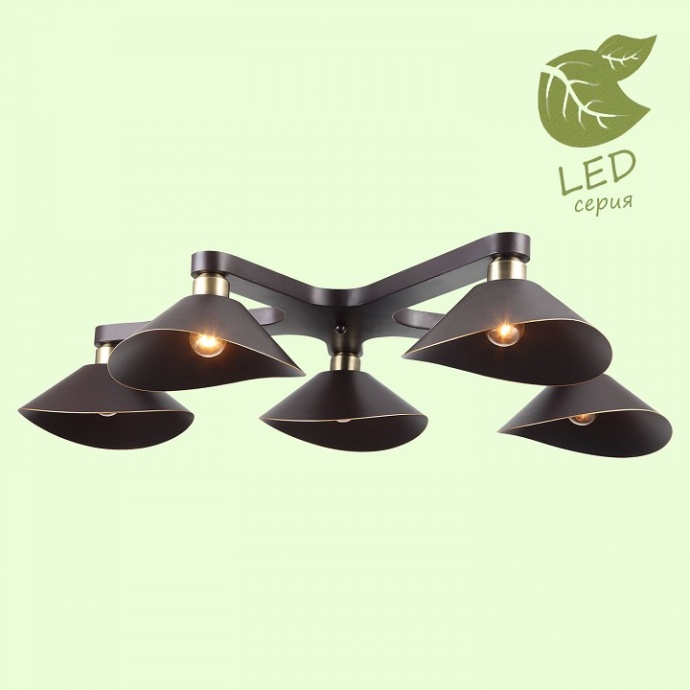 Потолочная люстра Lussole Opelika GRLSP-9535 - 2