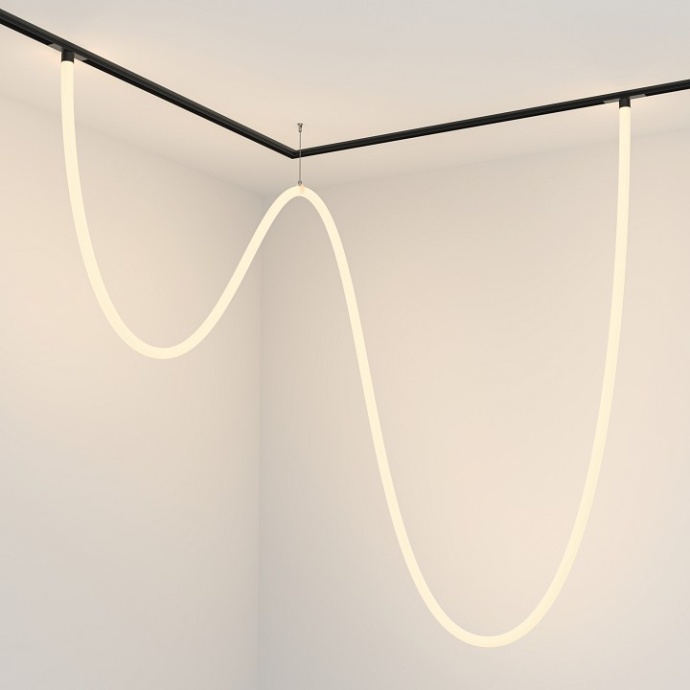 Подвесной светильник Maytoni Tau TR101-2-100W3K-B - 2