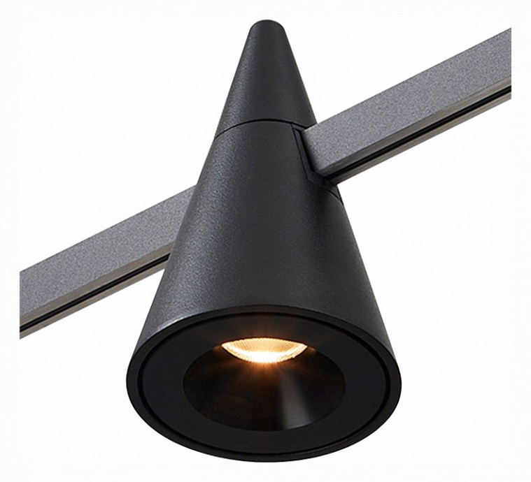 Светильник на штанге ST-Luce Farm ST813.406.05 - 0