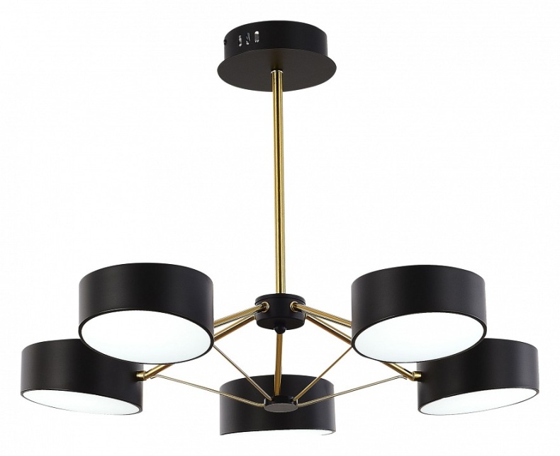 Люстра на штанге EVOLUCE Valle SLE6005-402-05 - 1