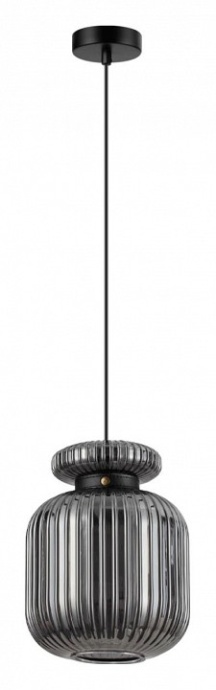 Подвесной светильник Odeon Light Jugi 5042/1B - 2