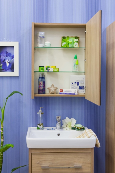 Зеркало-шкаф Sanflor Ларго 60 вяз швейцарский R Н0000000022 - 4