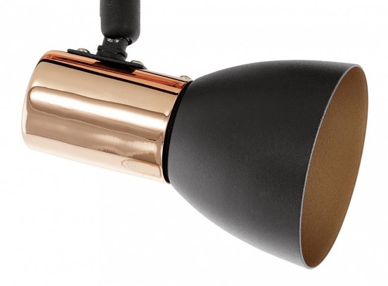 Спот Eglo Barnham 94584 - 1