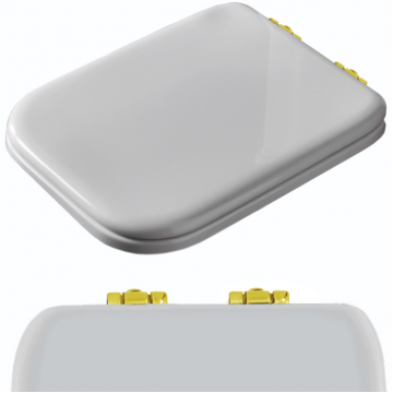 Комплект шарниров для сиденья Kerasan Waldorf золото  R108A16 - 0