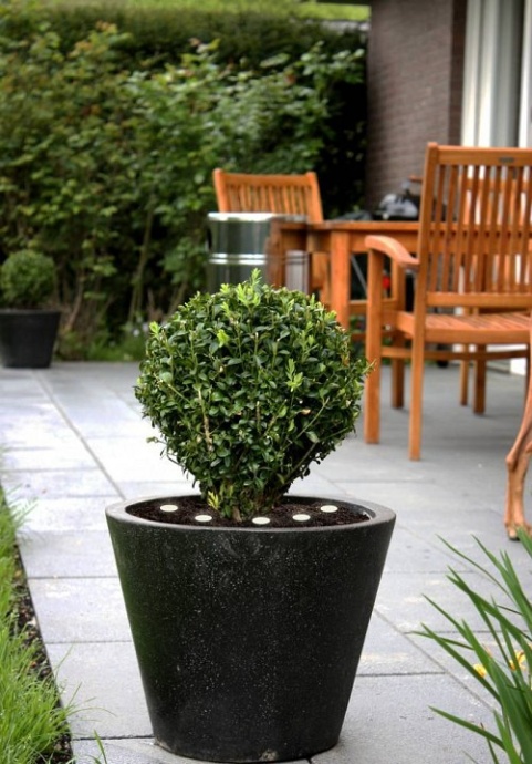 Ландшафтный светодиодный светильник Eglo Spinetoli 2 900117 - 2