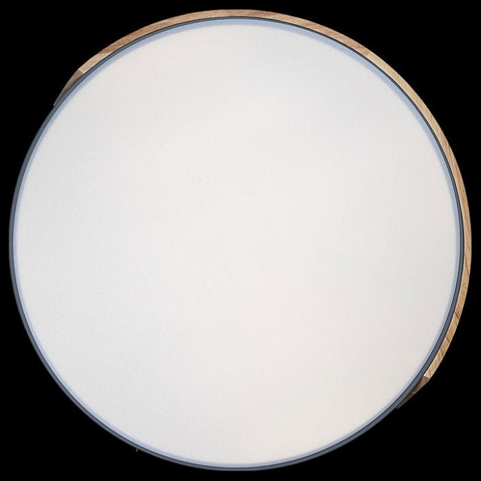 Накладной светильник Loft it Axel 3 10004/36 Grey - 3