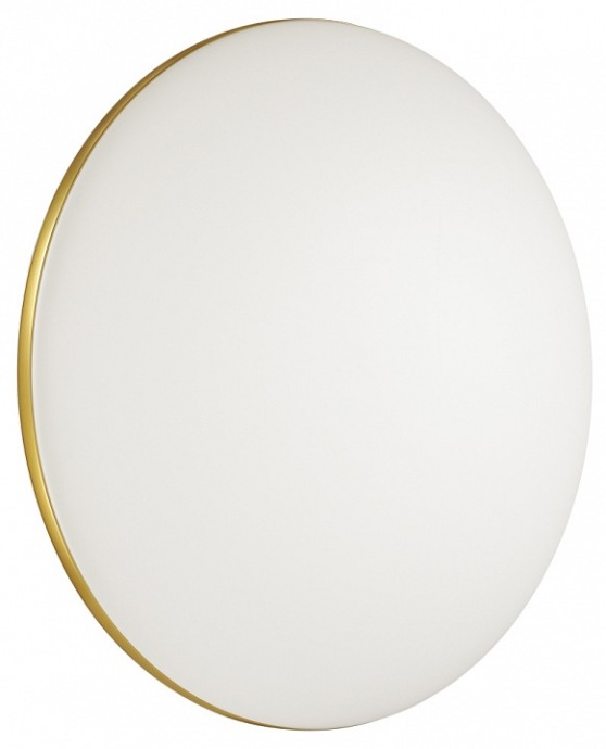 Настенно-потолочный светодиодный светильник Sonex Tan Lassa 3043/DL - 2