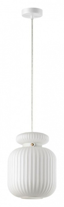 Подвесной светильник Odeon Light Jugi 5042/1C - 2