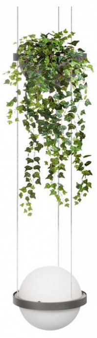 Подвесной светильник Loft it Jardin 10121/1P Dark grey - 0