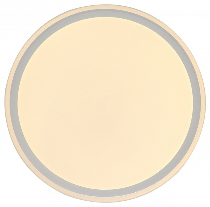 Накладной светильник Zortes BELLA ZRS.1200.07 - 1