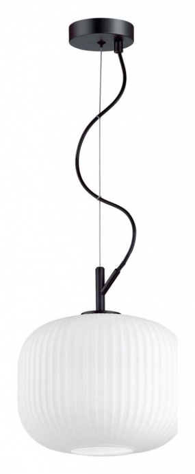 Подвесной светильник Odeon Light Pendant Roofi 4753/1 - 1
