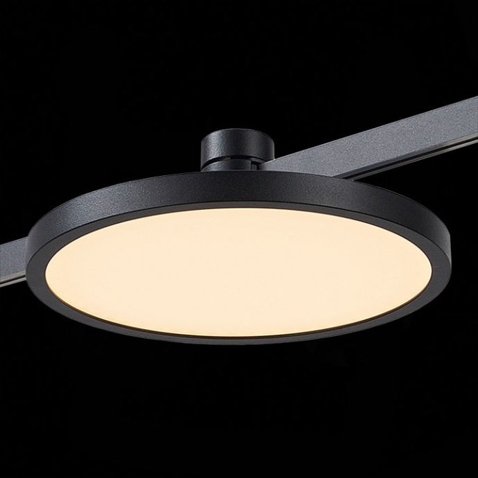 Накладной светильник ST-Luce Farm ST818.406.12 - 3