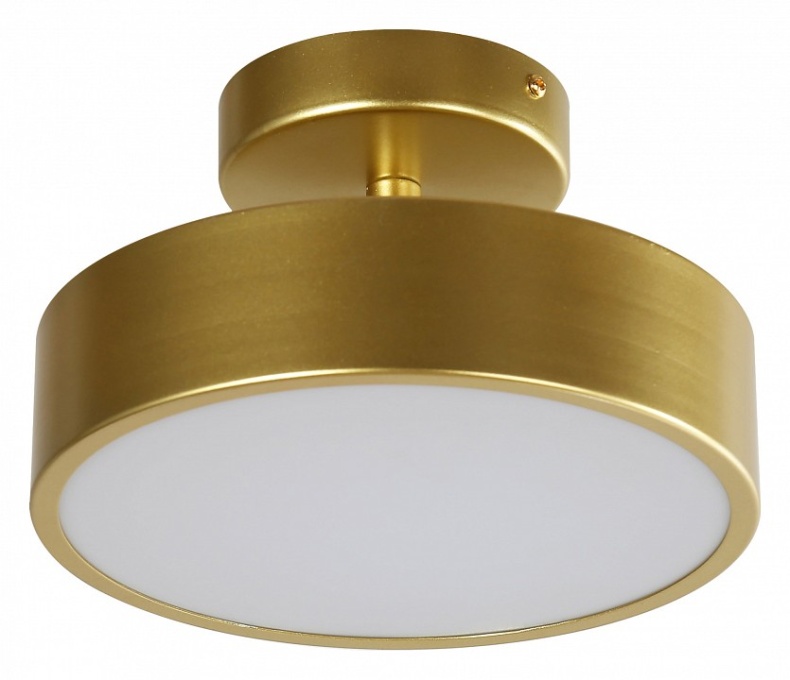 Светильник на штанге F-promo Atma 3059-2P - 0