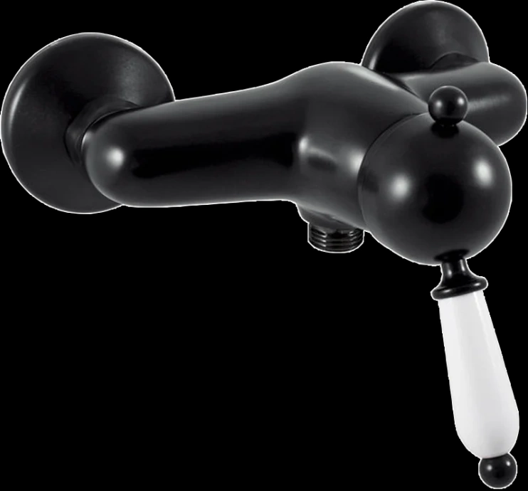 Смеситель для душа Rav Slezak Labe черный матовый L581.5CMAT - 0