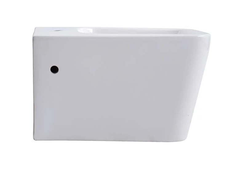 AQ0506N-00 ЛИБРА NewБиде подвесное 510*360*305 - 4