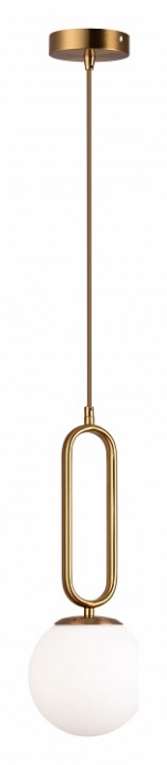 Подвесной светильник MyFar Pierre MR1160-1P - 1