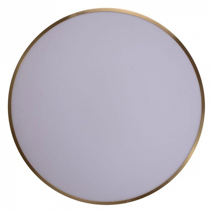 Накладной светильник Zortes Monna ZRS.1209.12 - 1