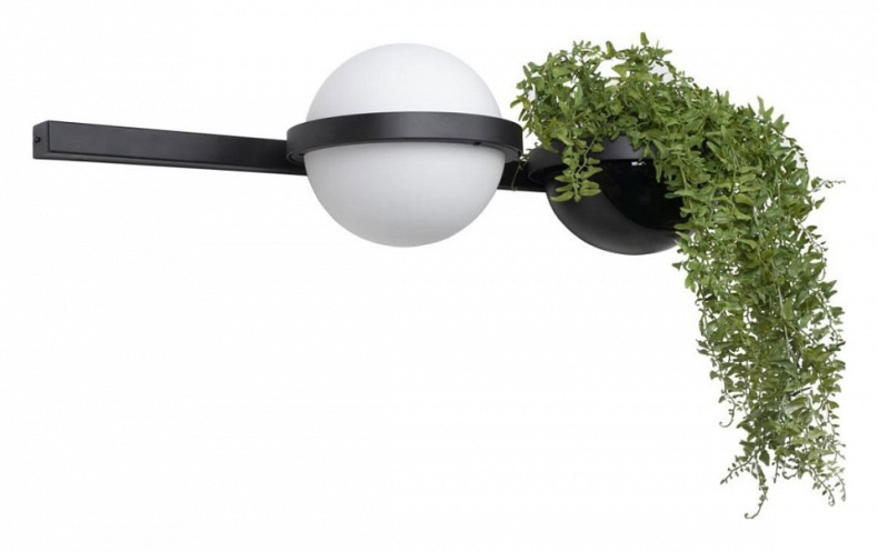 Настенный светильник LOFT IT Jardin 10121W/A - 2