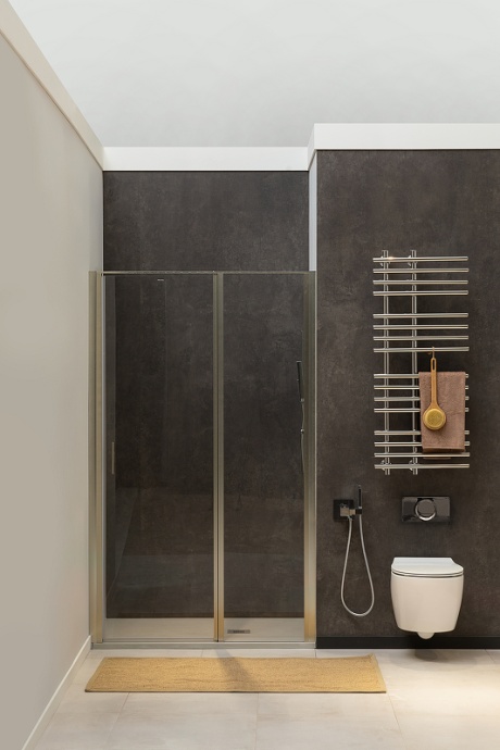 Душевая дверь Allen Brau Priority 160 профиль серебро матовый стекло прозрачное 3.31038.BA - 1